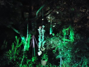ΑΠΟΨΗ ΚΗΠΟΥ, VILLA RODOPI