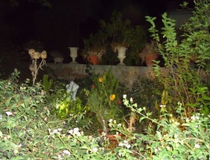 ΑΠΟΨΗ ΚΗΠΟΥ,VILLA ΡΟΔΟΠΗ