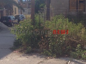 11844188_10207201945836653_5614110_n