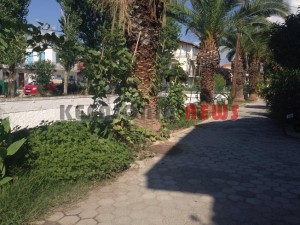 11845890_10207201948716725_693794589_n