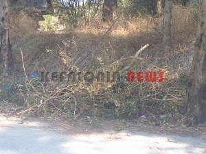 11845944_10207201952116810_1301590807_n