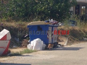 11845968_10207201950356766_393823960_n