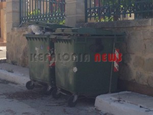 11845982_10207201949476744_2132155781_n