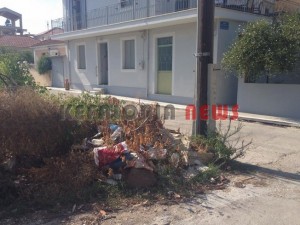 11846056_10207201951996807_306185999_n