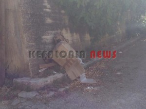 11846128_10207201951716800_1116004980_n