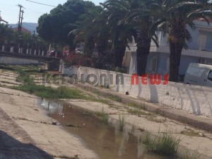 11846264_10207201948156711_1377352692_n