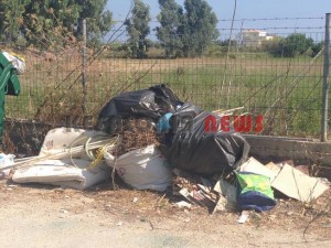 11846305_10207201953436843_673037577_n