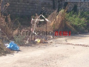 11846499_10207201951476794_435612162_n