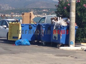 11853865_10207201948396717_525312227_n