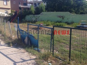 11853888_10207201947276689_875449654_n