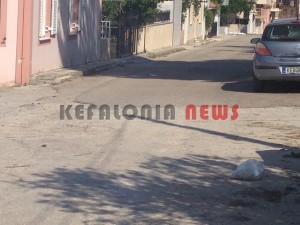 11854043_10207201950156761_869100726_n