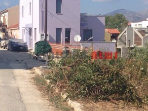 11855385_10207201951596797_890866742_n