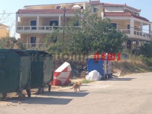 11855440_10207201950516770_1768898690_n