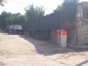 11855544_10207201949836753_2102640043_n