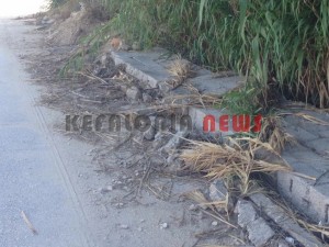 11857572_10207201946876679_928208435_n