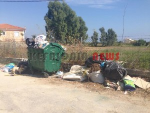 11857733_10207201953076834_2016797769_n