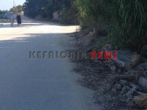 11868739_10207201946636673_2019056388_n