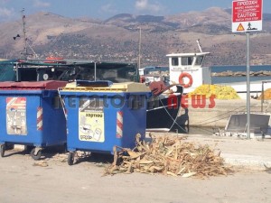 11868767_10207201947836703_772384424_n