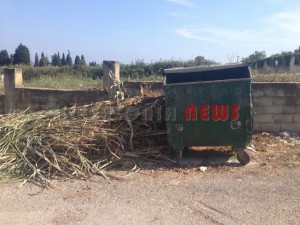 11872673_10207201952036808_1310302500_n