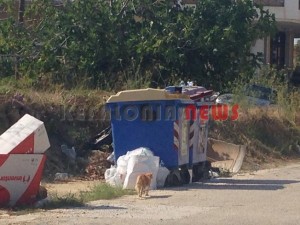 11872898_10207201950316765_1629359738_n