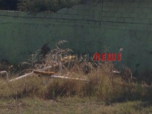 11873992_10207201947236688_542166256_n