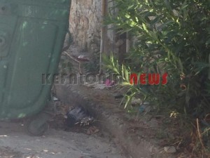 11874095_10207201950396767_1697762199_n