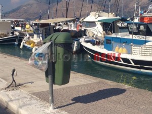 11874149_10207201947956706_752965604_n