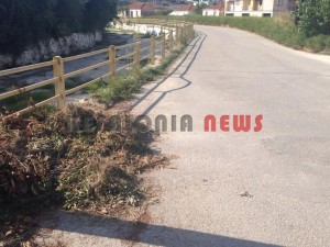 11874182_10207201945476644_1314476409_n