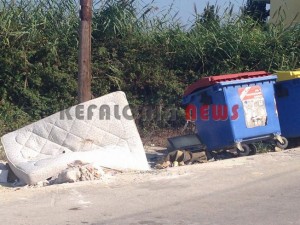 11880197_10207201945436643_901269768_n