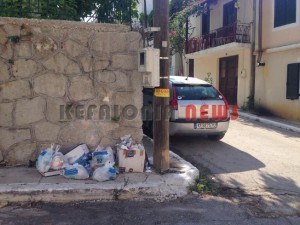 11880247_10207201949436743_995738888_n