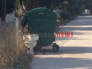 11880956_10207201947316690_526173602_n