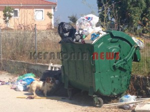 11880966_10207201953356841_1110592393_n