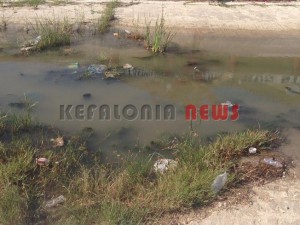 11880971_10207201948676724_903978685_n