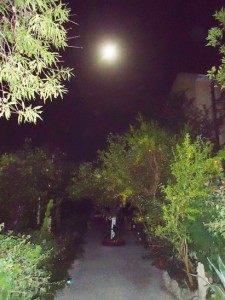 VILLA RODOPI. ΣΤΟΝ ΚΗΠΟ