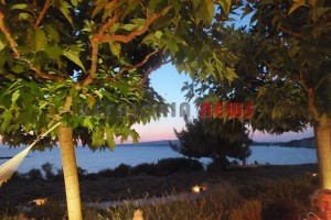 spilioti2015 024