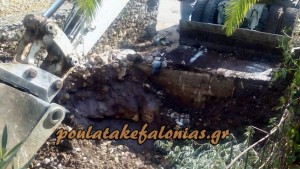 12059895_678084955661709_1996461116_o