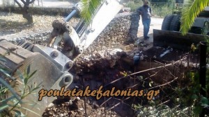 12076340_678085005661704_1805202682_o