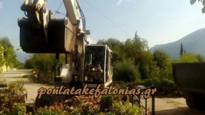 12082711_678084885661716_803672505_o