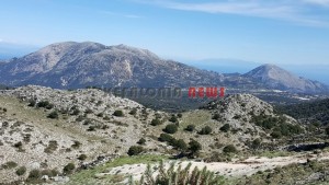 20151013_141416_resized