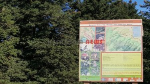 20151013_141841_resized