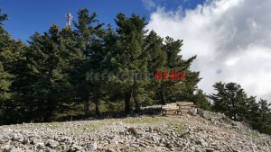 20151013_143658_resized