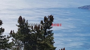 20151013_145244_resized