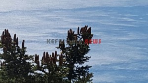 20151013_145247_resized