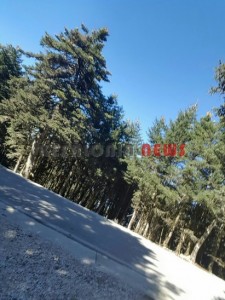 20151013_151330_resized