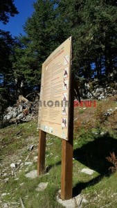 20151013_152131_resized