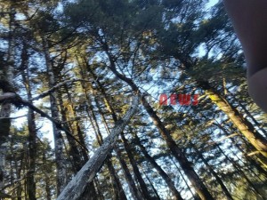 20151013_153752_resized