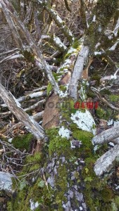 20151013_153804_resized