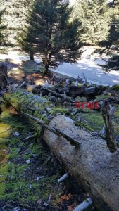 20151013_153818_resized