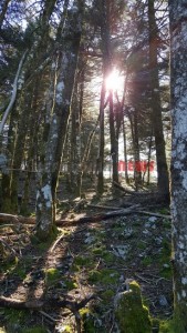 20151013_153916_resized