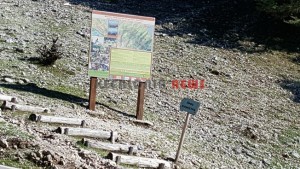 20151013_154732_resized